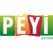 Logo TELE PEYI GUYANE