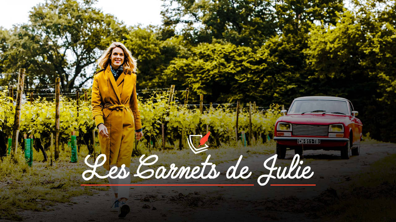 Les Carnets De Julie : Recette Du Gâteau Aux Noix